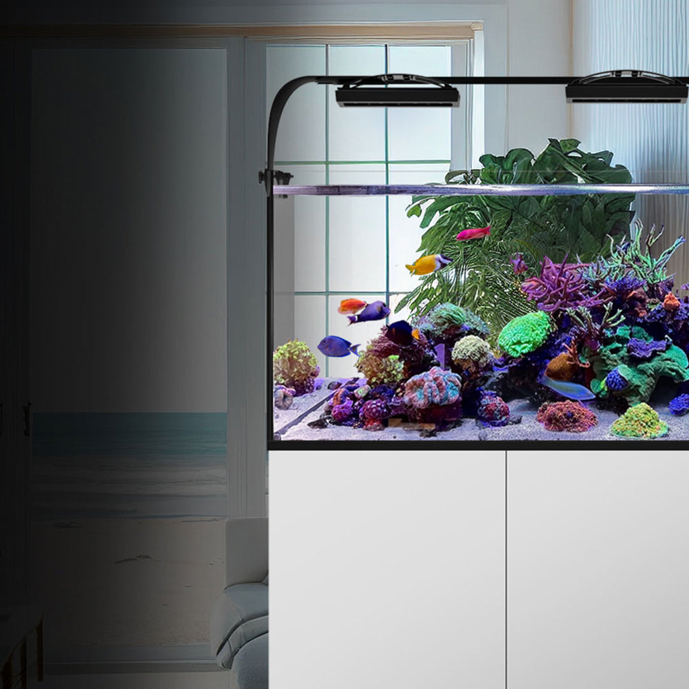 Waterbox Waterbox Aquariums - Freshwater and Saltwater Aquarium Systems