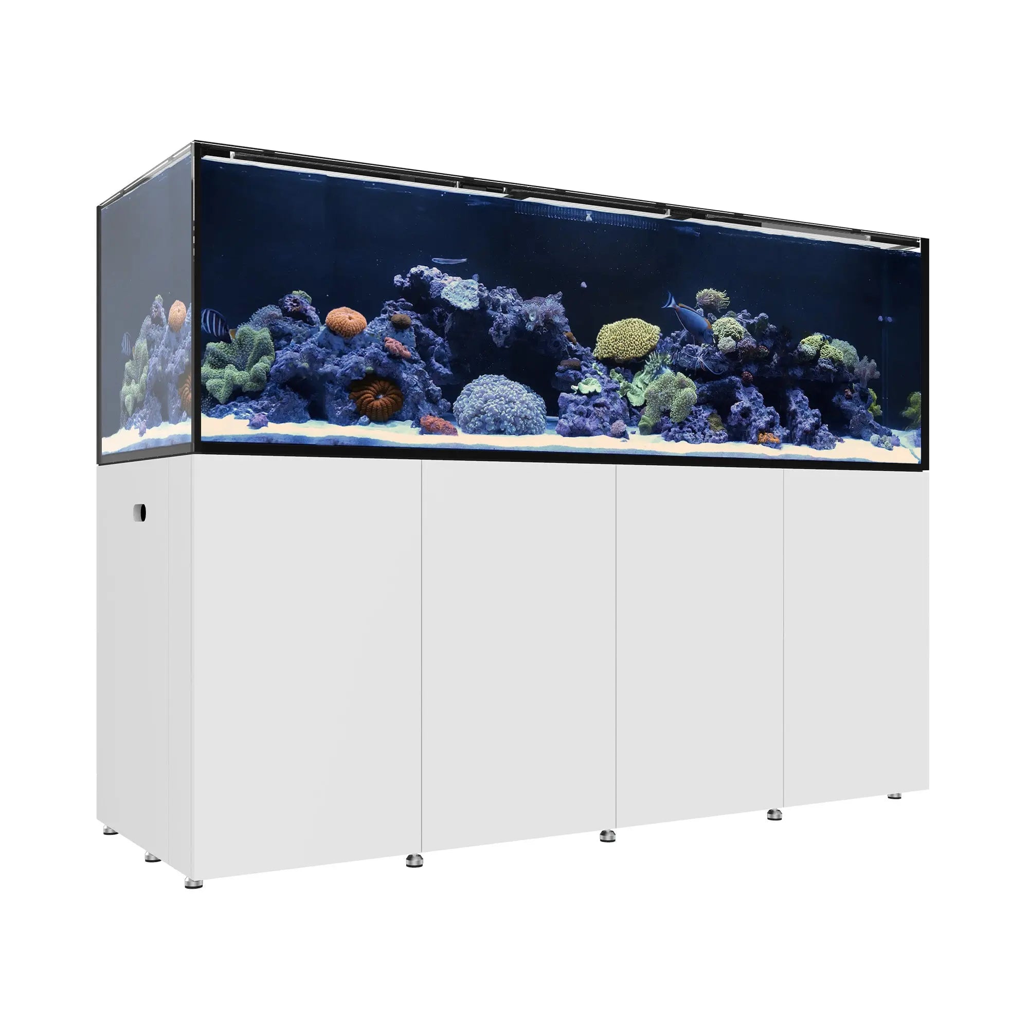 REEF LX 290.6 – Waterbox Aquariums
