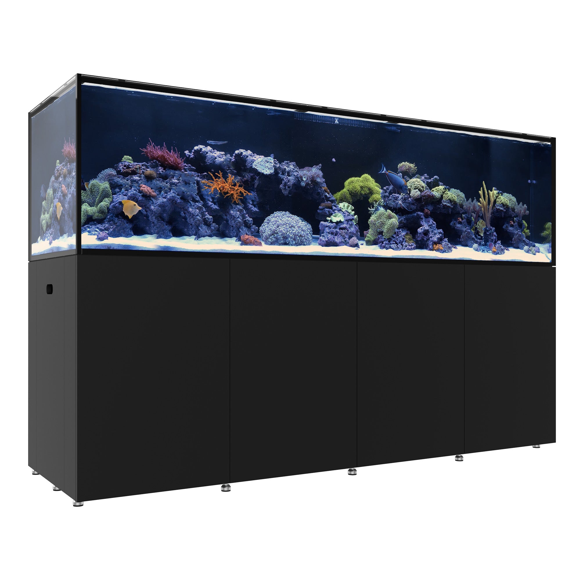 REEF LX 380.8