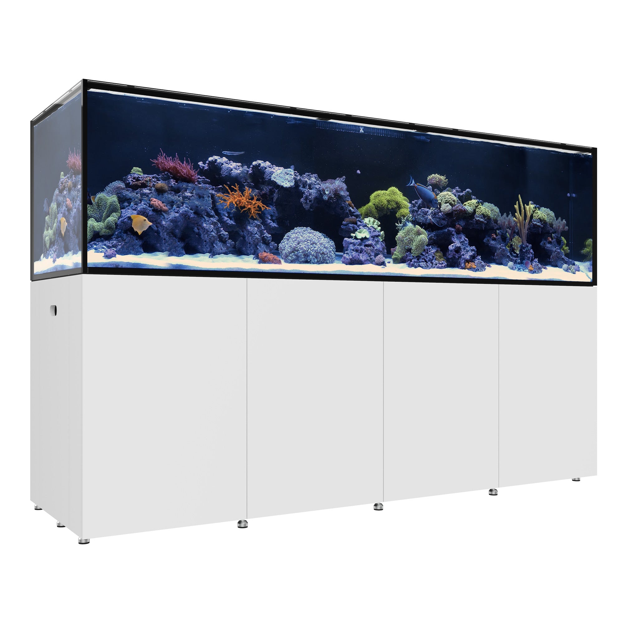 REEF LX 380.8