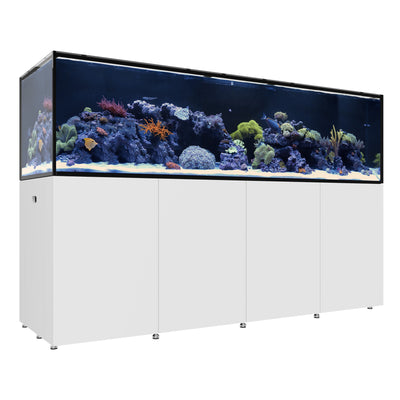 REEF LX 380.8