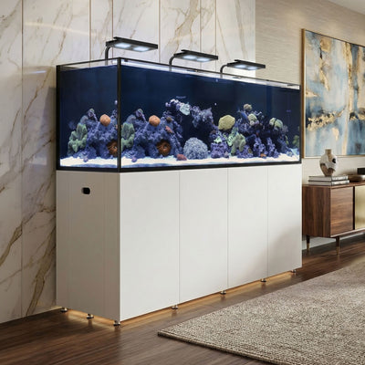 REEF LX 330.7