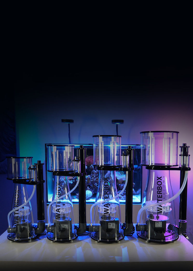 Waterbox Aquariums - Freshwater and Saltwater Aquarium Systems