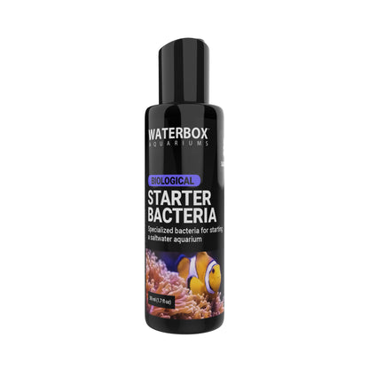 Starter Bacteria