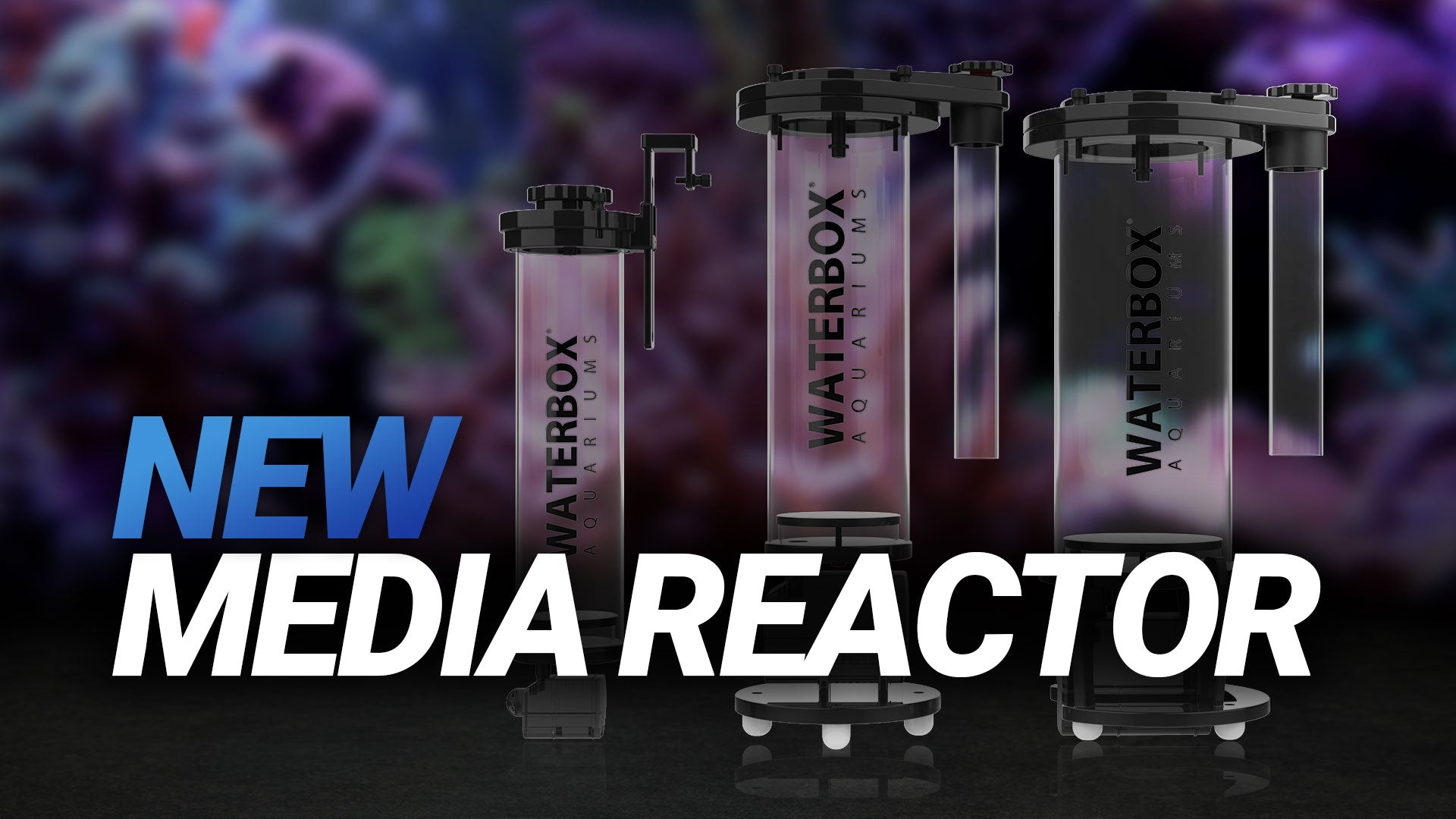 Load video: Meet the NEW Waterbox Media Reactor