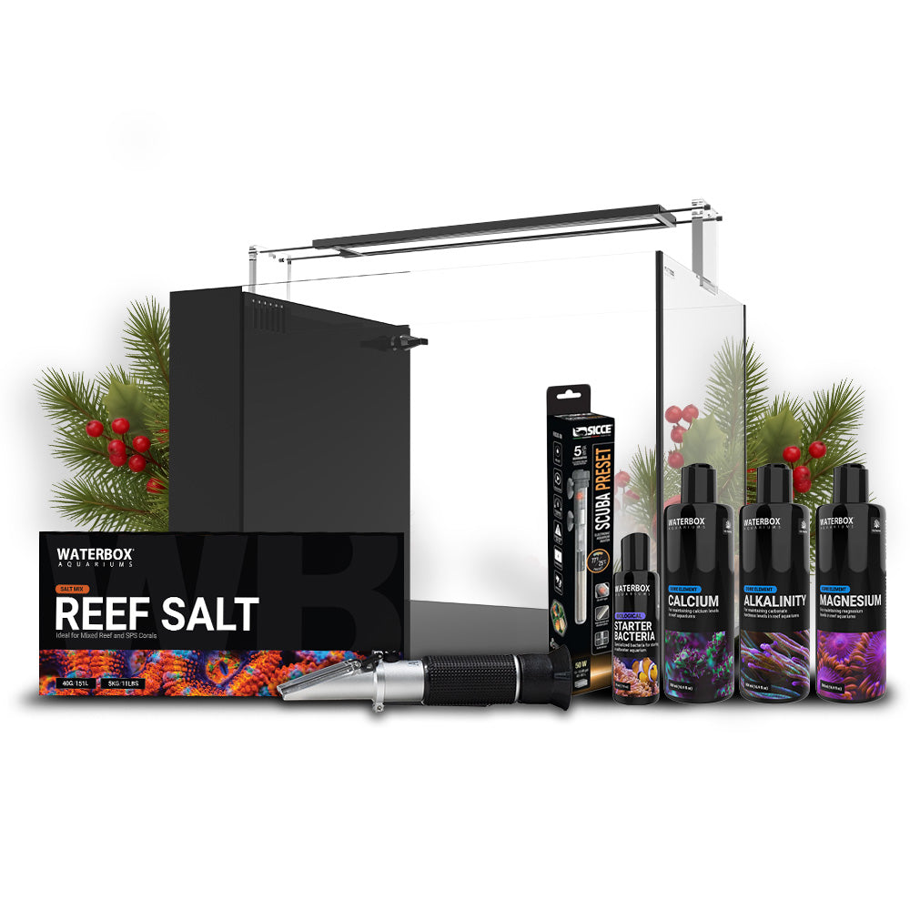 AIO 15 Peninsula Holiday Bundle