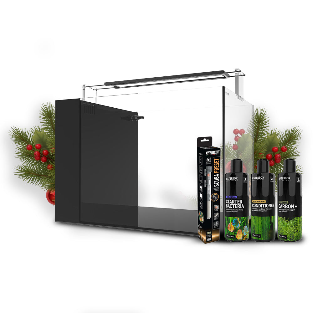 AIO 15 Peninsula Holiday Bundle