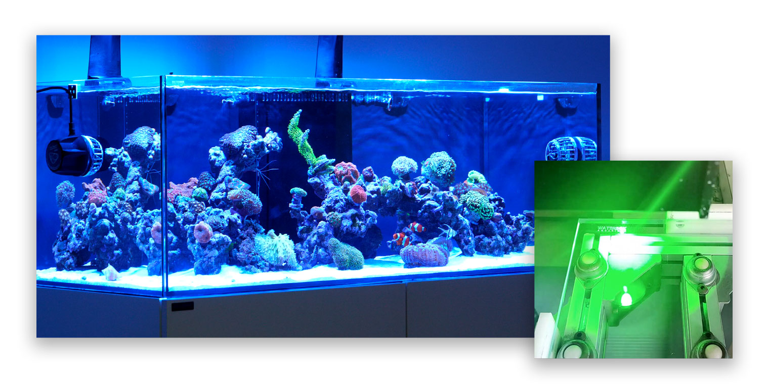 Custom Water Box Custom Waterbox Aquariums®