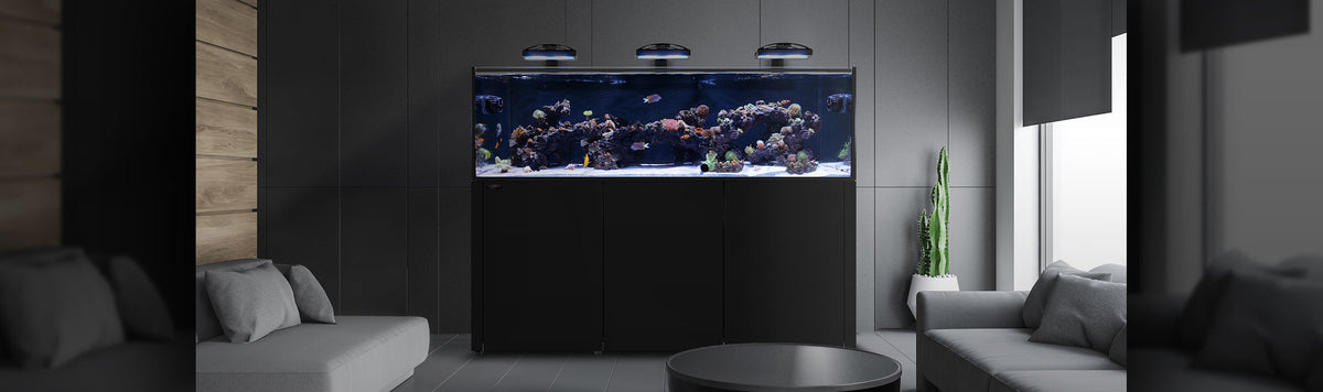 About Us – Waterbox Aquariums