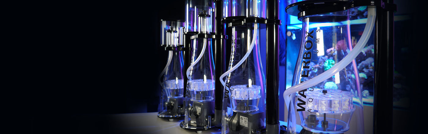 Waterbox Aquariums - Freshwater and Saltwater Aquarium Systems
