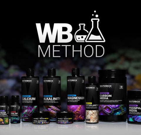 Waterbox Aquariums - Freshwater and Saltwater Aquarium Systems