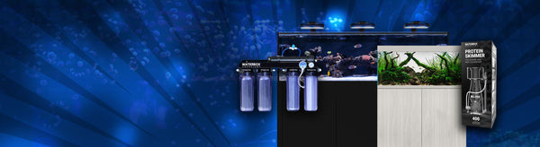 Waterbox Aquariums - Freshwater and Saltwater Aquarium Systems