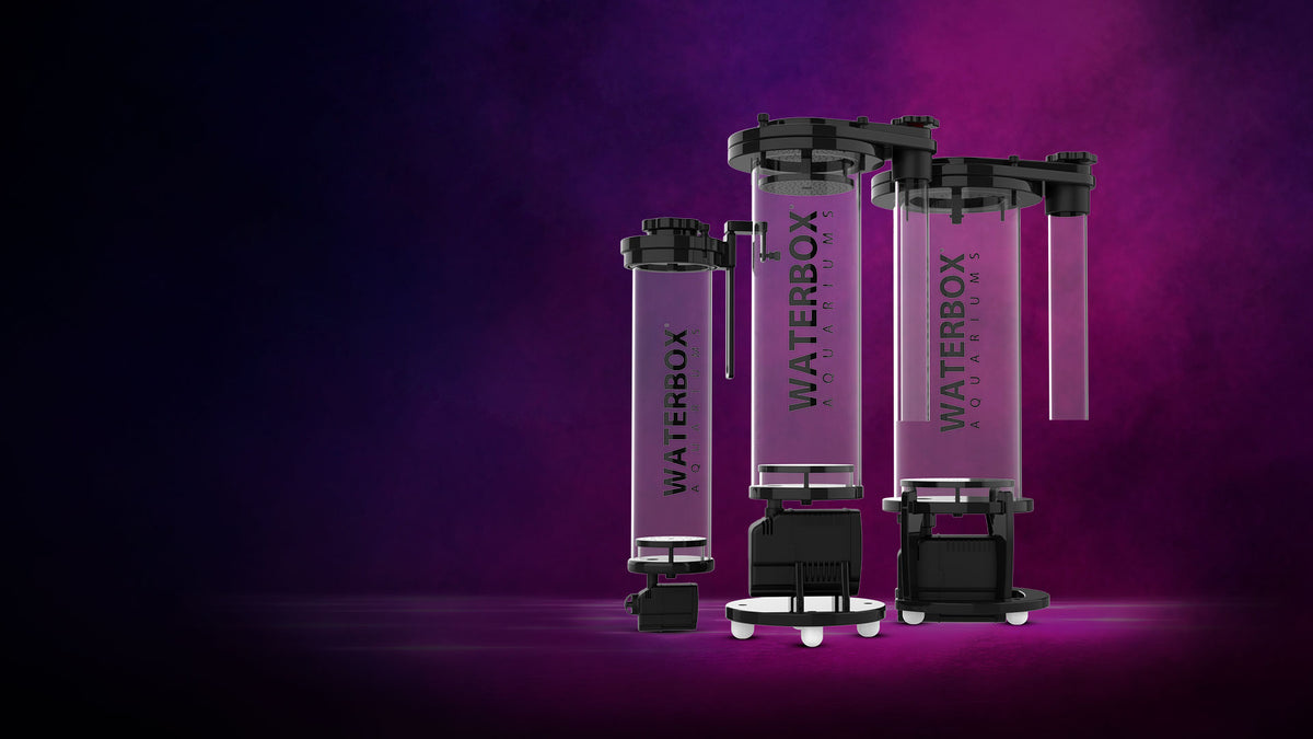 Waterbox Waterbox Aquariums - Freshwater and Saltwater Aquarium Systems