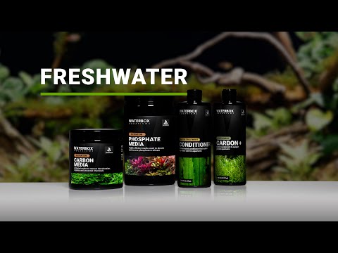 Carbon Media for Freshwater