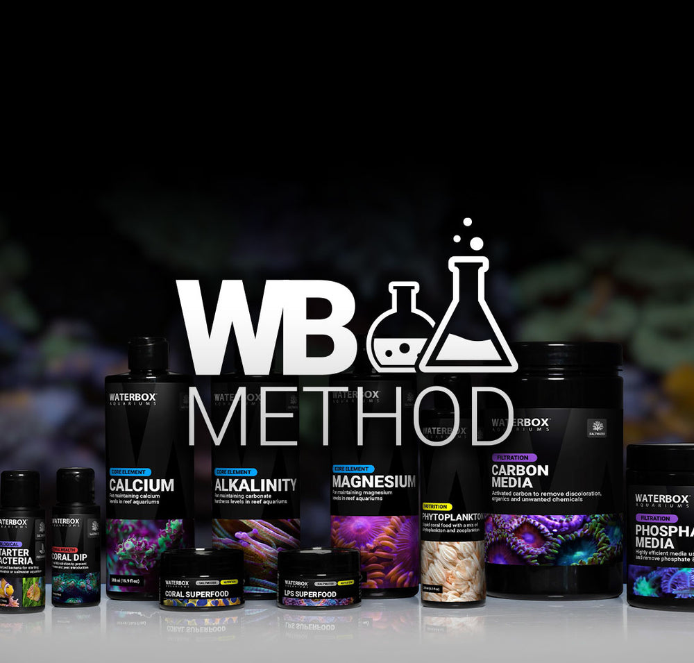 Waterbox Aquariums - Freshwater and Saltwater Aquarium Systems