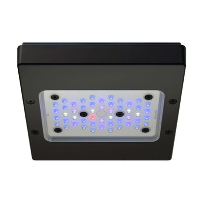 PLUS XR15 G6 SALTWATER