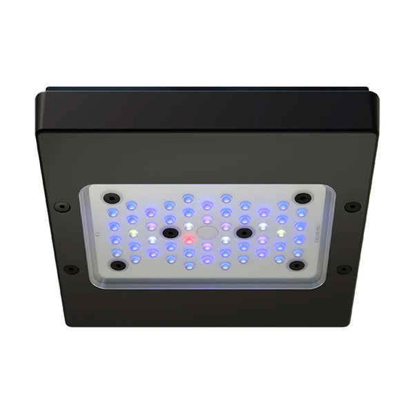 Radion XR15 G6 Blue – Waterbox Aquariums