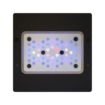 PLUS XR15 G6 SALTWATER