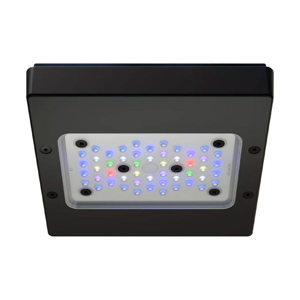 Radion XR15 G6 PRO – Waterbox Aquariums