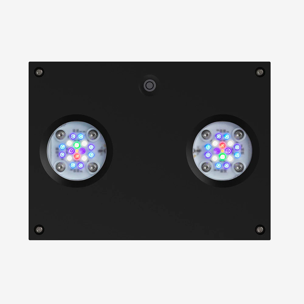 AI Hydra32HD (ハイドラ32HD) サンゴ 水槽 ライト 照明 Amazon.co.jp: □AI Hydra32HD（ハイドラ32HD