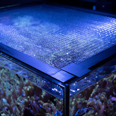 boat fish box lid Mesh Lid System MARINE X 60.2 (Pre-Assembled)