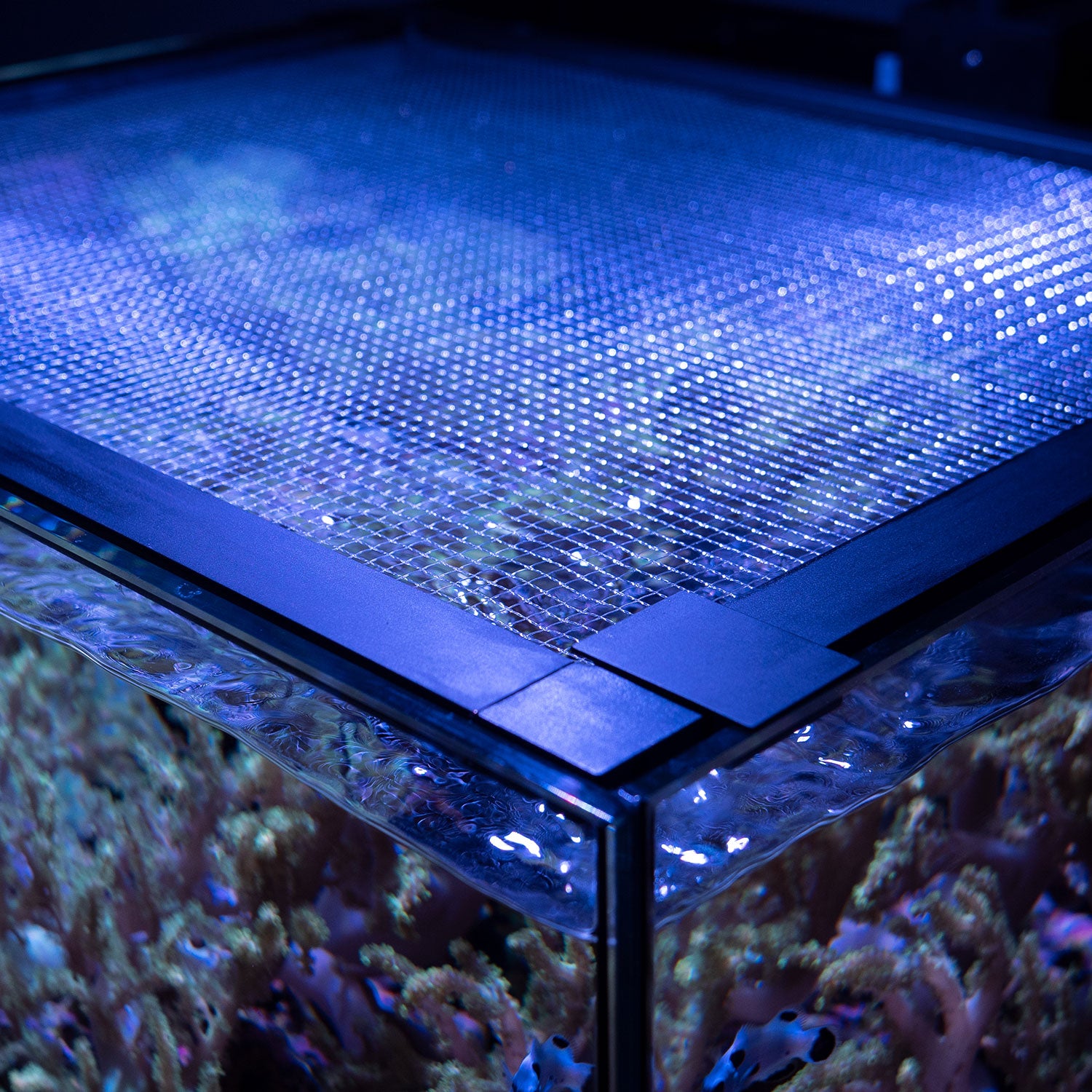 Waterbox | Cube 10 Mesh Lid - Saltwater Aquarium
