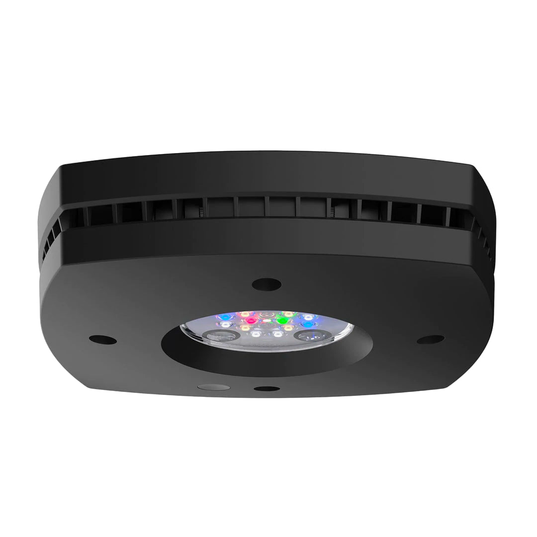 A black, circular freshwater lighting fixture with multicolored LED lights visible through the center.