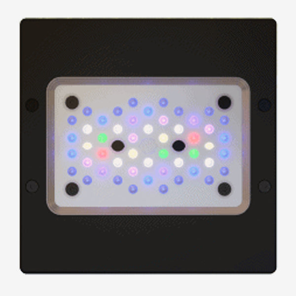 全ての Radion XR15 G6 PRO 海水魚用品